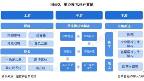 預(yù)見2024 中國單克隆抗體行業(yè)全景圖譜及計(jì)算機(jī)軟硬件開發(fā)的融合趨勢