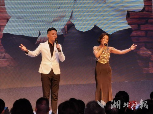 湖北省文藝界原創(chuàng)音樂(lè)作品專(zhuān)題演唱會(huì)成功舉辦，系列公益演出持續(xù)惠民